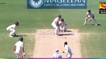 The ashes australia vs england 2018 5th test match highlights