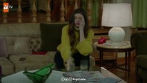 Aşk acısı çeken Defne! - Kırgın Çiçekler 104.Bölüm