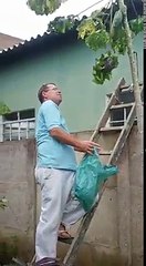 Tutorial de como eliminar colmeia de marimbondos com segurança