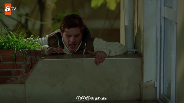 Eylül ve Ali’nin romantik anları ve tabi ki de Fadik! - Kırgın Çiçekler 104.Bölüm