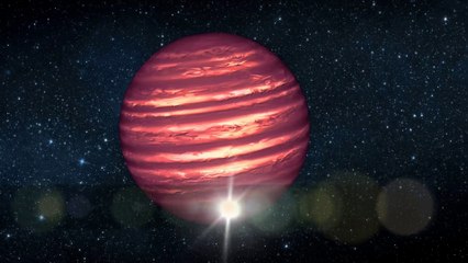 El Telescopio Webb de la NASA investigará una misteriosa enana marrón cercana al Sol