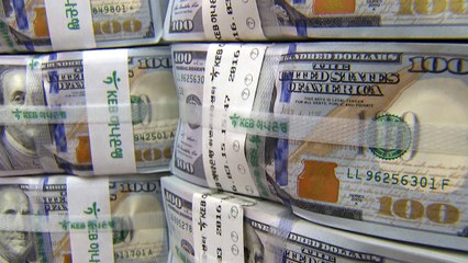 원·달러 환율 추락...정부 '구두개입'도 안 먹혀 / YTN