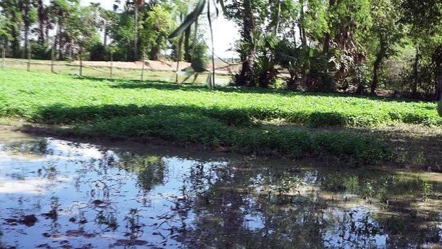 Travel Trip in Cambodia Cambodian Khmer Village Countryside