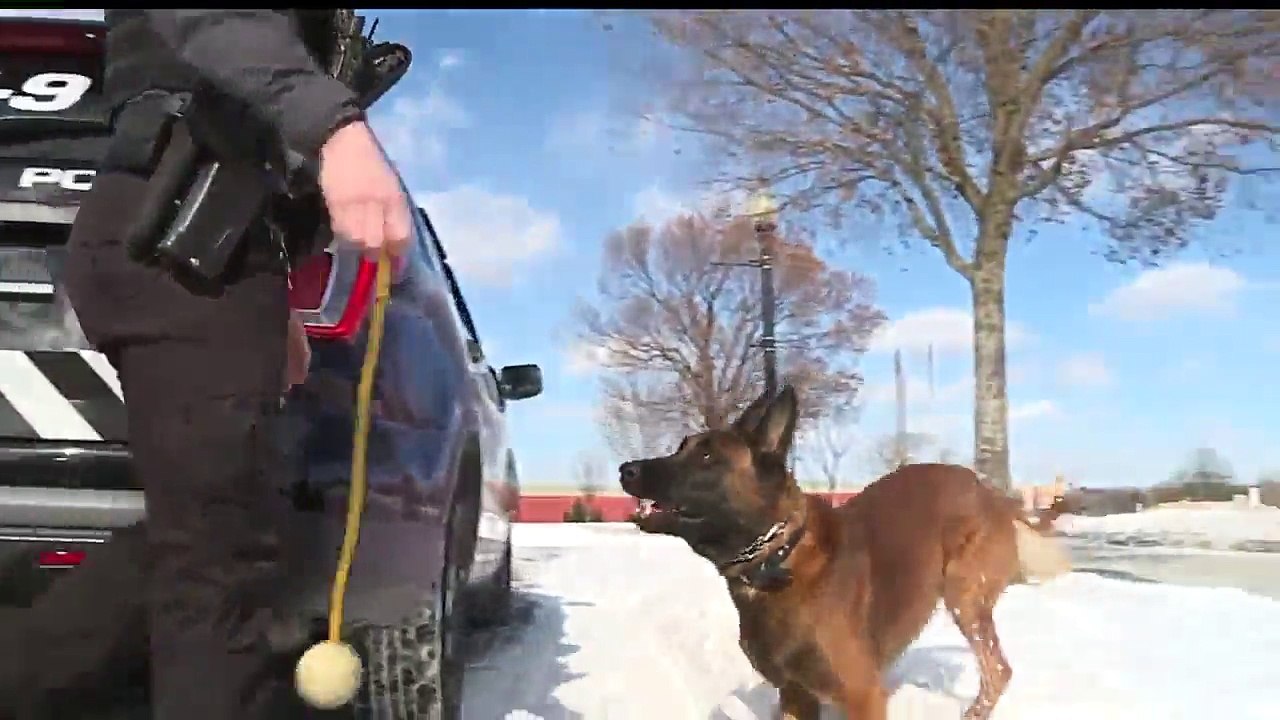 A Day in the Life of a K-9 Officer in the Bitter Cold