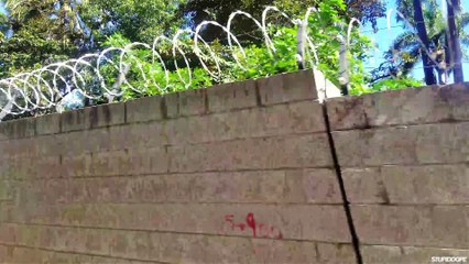 Kicking it with Salvadoran Skaters in El Salvador! | Video