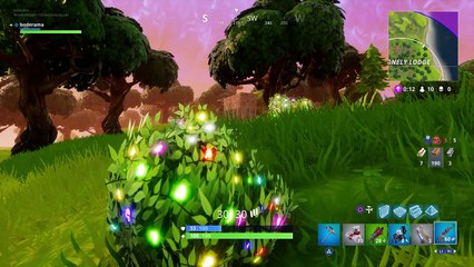 Barking up the wrong bush