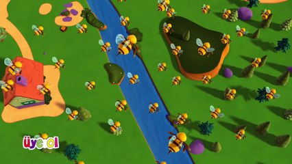 Niloya   Şarkı   Arı