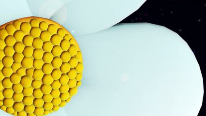 Niloya   Şarkı   Bu Ne