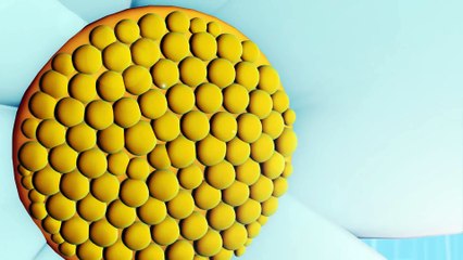 Niloya   Şarkı   Damlaya Damlaya Göl Olur