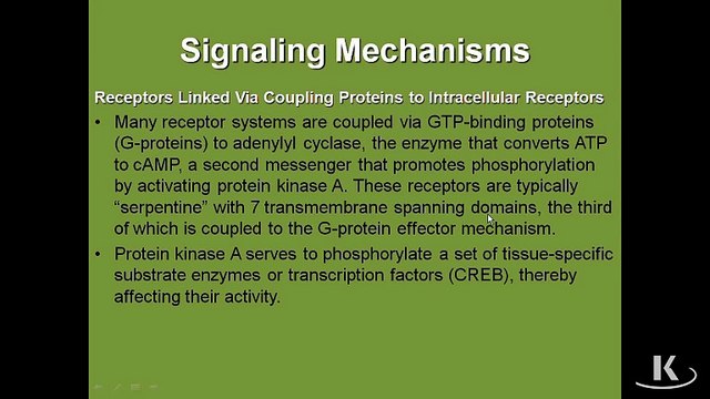 Pharmacology General Principles Chapter 2 Part 4 Signaling