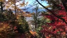 日本の美しい景色 山梨 富士河口湖編 富士浅間神社２-jeT7Sd7Uh