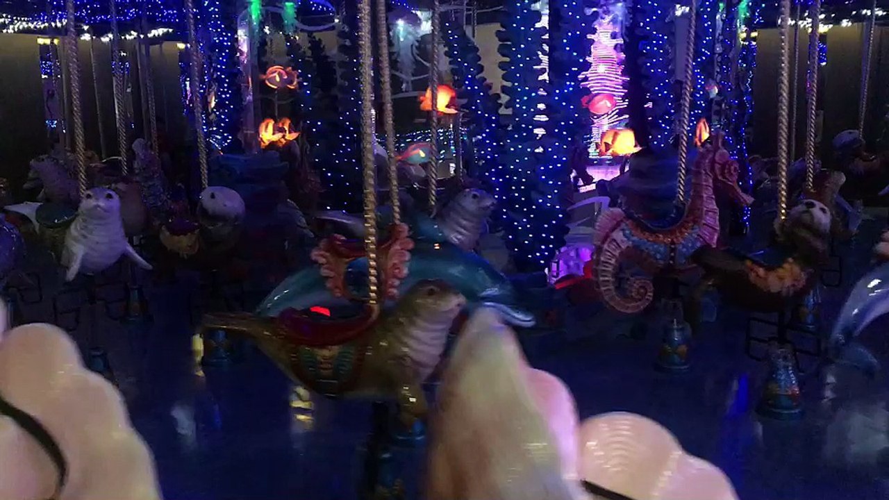 末永奨が行く！メリーゴーランドinアクアパーク品川