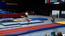 DELOGE Marie (FRA) - 2017 Trampoline Worlds, Sofia (BUL) - Qualification Tumbling Routine