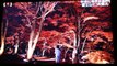 秋色に染まる山中湖湖畔 富士山と“共演”も-4A0eumhcy1Y