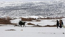 Sahra Çölü'ne Kar Yağdı! Kar Kalınlığı 40 Santimetreyi Buldu