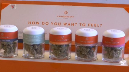 Report: DOJ Rolling Back of Obama-Era Weed Policy