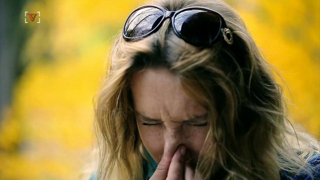 CDC Documents Flu Outbreak In 36 States