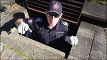 Australian firefighter climbs into drain to save distressed ducklings