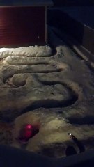 Adorable Rescue Puppy Chases Laser Through Backyard Snow Maze