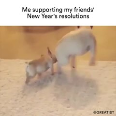 New Years Resolutions