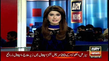 Tahir-ul-Qadri is threatening the government: Marriyum Aurangzeb