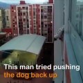 Un homme risque sa vie pour sauver un chien qui risque de tomber d'un balcon !