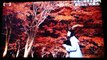 秋色に染まる山中湖湖畔 富士山と“共演”も-4A0eumhcy1Y