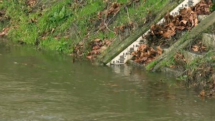 INTEMPÉRIES/ La Vienne en crue dans le chinonais