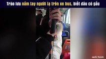 Trào lưu nắm tay người lạ trên xe bus, biết đâu có gấu