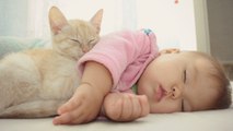 Cute Relationship Between Babies and Cats - Cat always loves Baby Compilation