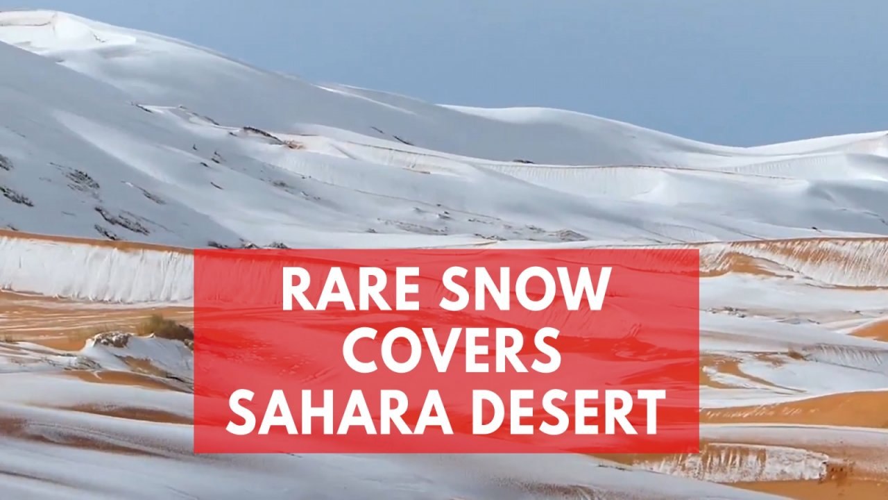 Rare bout of snow blankets Sahara Desert sand dunes in Algeria
