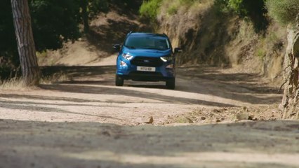 Essai Ford EcoSport restylé : nouveau départ