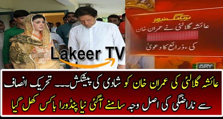 Big News Came About Ayesha Gulalai