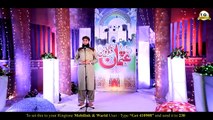 Hafiz Tahir Qadri New Manqabat Usman-e-Ghani 2017