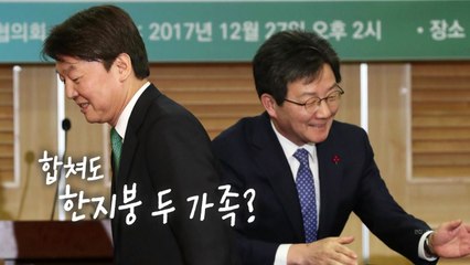 [팔팔영상] 국민의당 '한지붕 두 가족', 그 기원을 찾다 / YTN