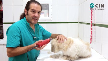 CIM Formación - ARREGLO A MÁQUINA DE SHIH TZU