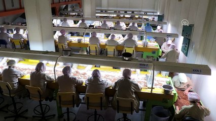 Bakkalda fındık satışından 50 ülkeye ihracata - TRABZON