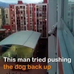 Il sauve un chien qui risque de tomber d’un balcon