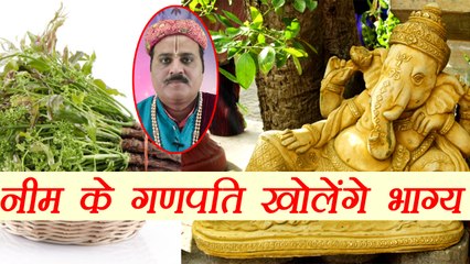 नीम के गणपति बनाऐंगे बिगड़े काम | Neem Statue Of Ganpati | Boldsky