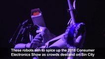 Pole-dancing robots aim to spice up Consumer Electronics Show
