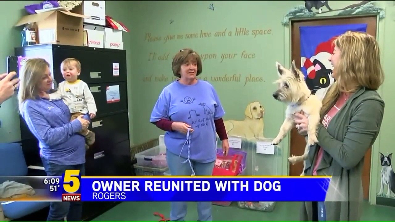 Family Reunited With Missing Dog 3 Years After It Ran Away