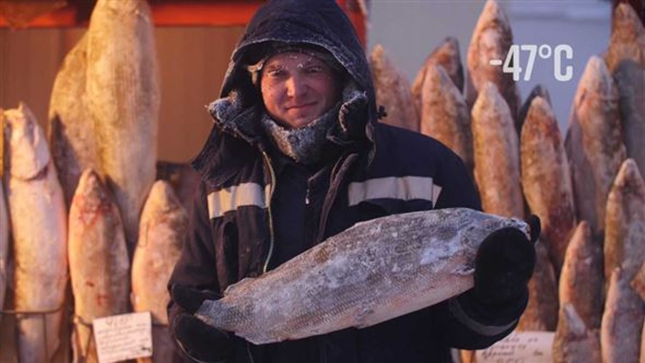 Der kälteste markt der welt: frischer fisch in sibirien