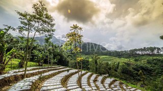 Fields, Cascade Terrace In The Mountains. - Java, Indonesia, June 2016. by Timelapse4K
