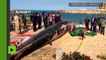 [Actualité] En Egypte, une énorme baleine de 12 tonnes est retrouvée sur les plages d'Alexandrie