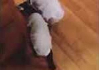 Adorable Leaping Goats Show Excitement for Christmas