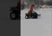Friendly Neighborhood T-Rex Has Fun in the Snow