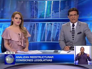Analizan reestructurar comisiones legislativas