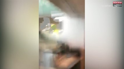 New York : L'aéroport JFK inondé (vidéo)