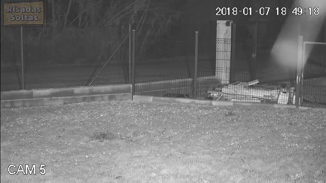Man abandons dog by throwing him into the kennel
