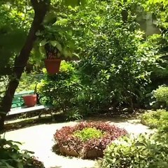 Home Garden - Bagbani (Nature Hai Toh Future Hai)